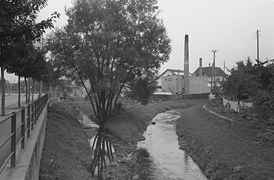 Bild des oberirdischen Riedbach