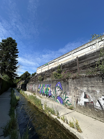 Bild der Eulach beim Maag Recycling