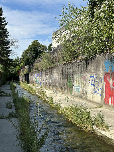 Bild eines Graureiher neben der Eulach